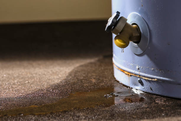 Best Water damage restoration near me  in Springfield, OH
