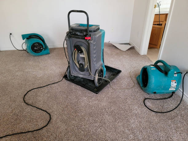 Best Flooded house restoration  in Springfield, OH