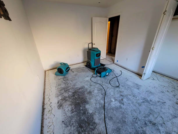 Best Flood damage cleanup  in Springfield, OH