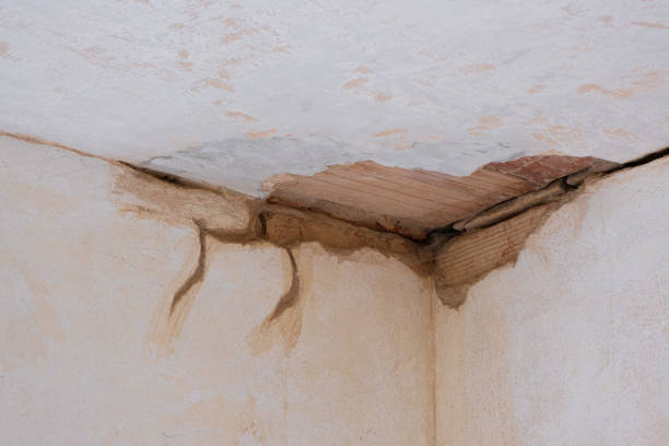 Best Fire Damage Restoration  in Springfield, OH