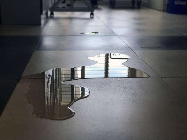 Best Carpet water damage restoration  in Springfield, OH