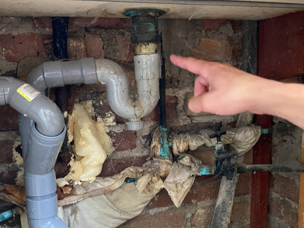 Best Basement water damage restoration  in Springfield, OH